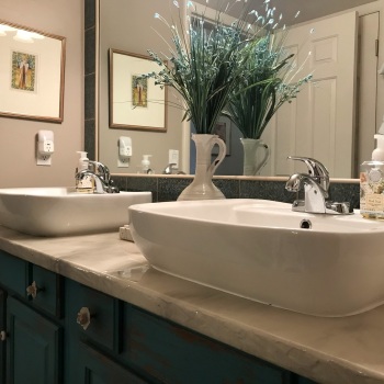 side view of two sinks on counter with plant